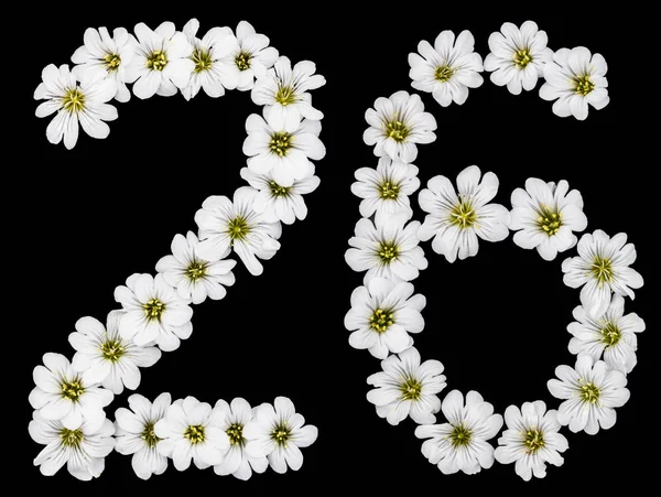 Arabic Numeral Twenty Six Twenty Two Six White Flowers Cerastium — Stock Photo, Image