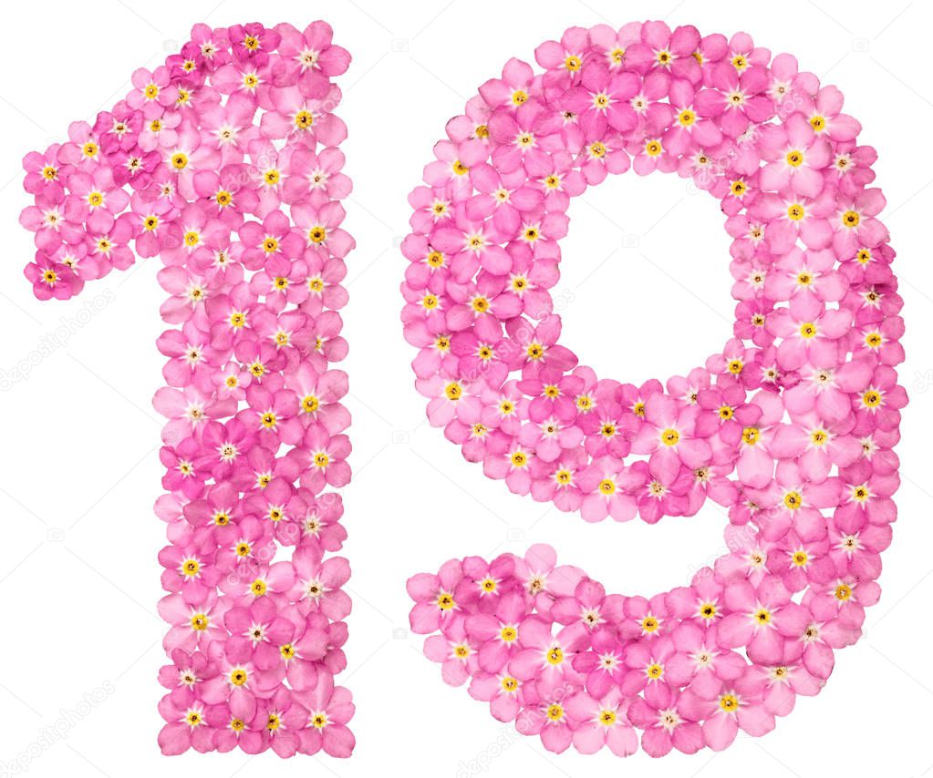 Arabic numeral 19, nineteen, from pink forget-me-not flowers, isolated on white background