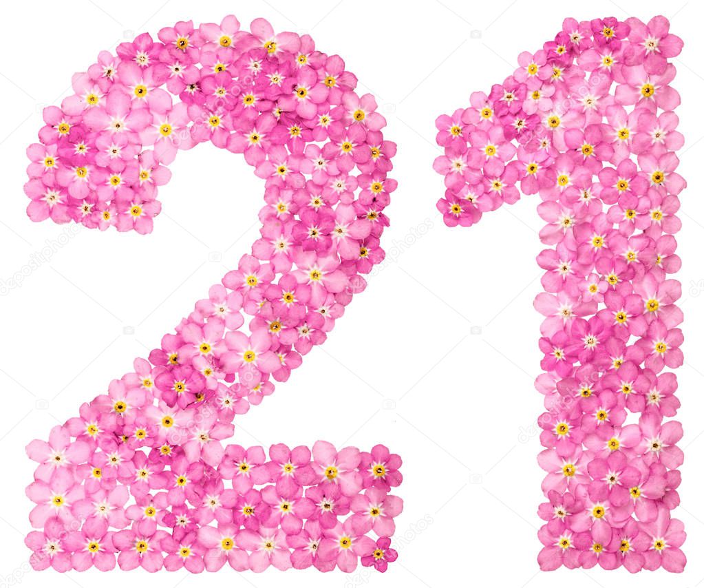 Arabic numeral 21, twenty one, from pink forget-me-not flowers, isolated on white background