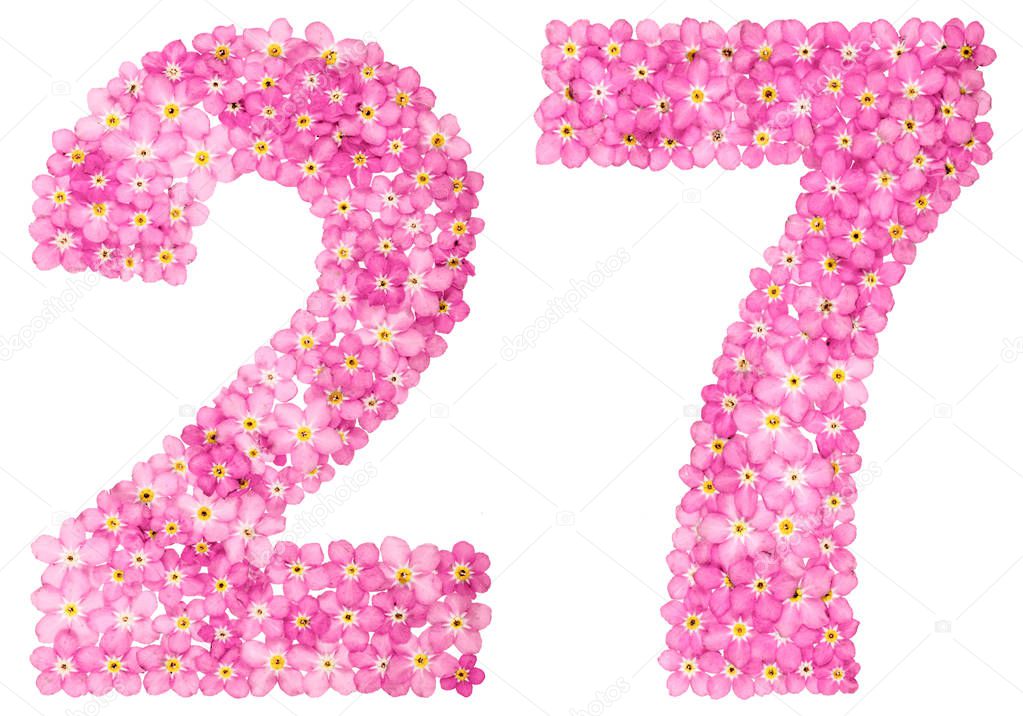 Arabic numeral 27, twenty seven, from pink forget-me-not flowers, isolated on white background
