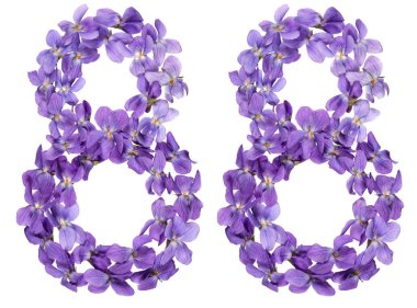 Arapça Beyaz arka plan üzerinde izole rakamı 88, Viyola, çiçeklerin üzerinden seksen sekiz