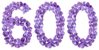 Arapça Beyaz arka plan üzerinde izole rakamı 600, Viyola, çiçekleri gelen altı yüz