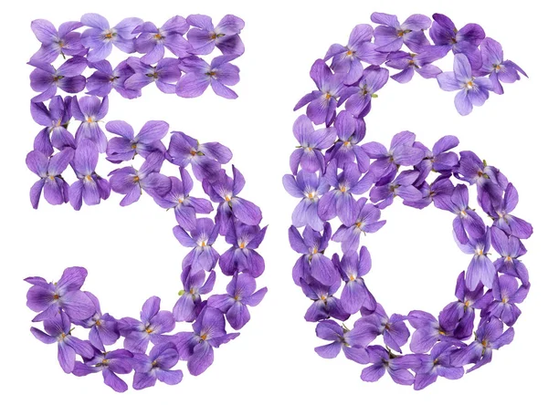 Arabiska Siffror Femtio Sex Från Blommorna Viola Isolerad Vit Bakgrund — Stockfoto