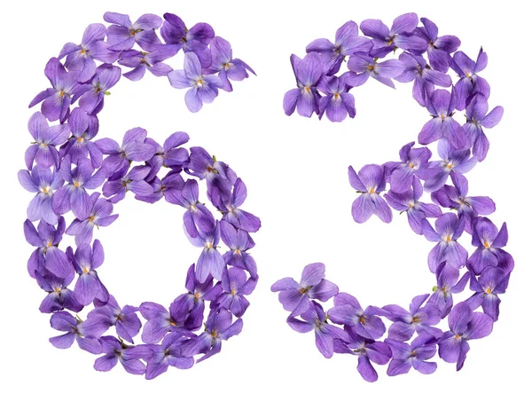 Arabiska Siffror Sextio Tre Från Blommorna Viola Isolerad Vit Bakgrund — Stockfoto