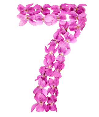 Arapça rakamı 7, Viyola, beyaz arka plan üzerinde izole çiçeklerin üzerinden yedi