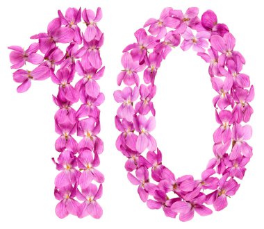 Arapça rakamı 10, yaklaşık on, Viyola, beyaz arka plan üzerinde izole çiçekler