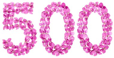 Arapça Beyaz arka plan üzerinde izole rakamı 500, Viyola, çiçeklerin üzerinden beş yüz
