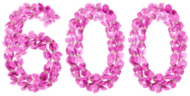 Arapça Beyaz arka plan üzerinde izole rakamı 600, Viyola, çiçekleri gelen altı yüz