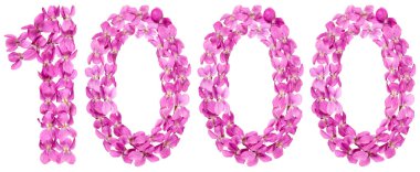 Arapça Beyaz arka plan üzerinde izole rakamı 1000, 1000, Viyola, çiçeklerin üzerinden