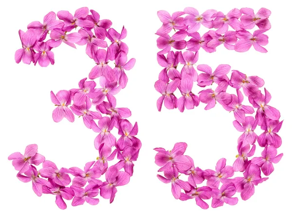 Arabische Ziffer Fünfunddreißig Aus Viola Blüten Isoliert Auf Weißem Hintergrund — Stockfoto