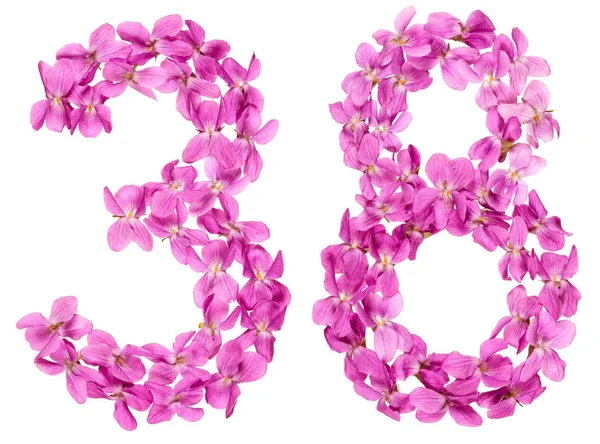 Arabic Numeral Thirty Eight Flowers Viola Isolated White Background — Stock Photo, Image