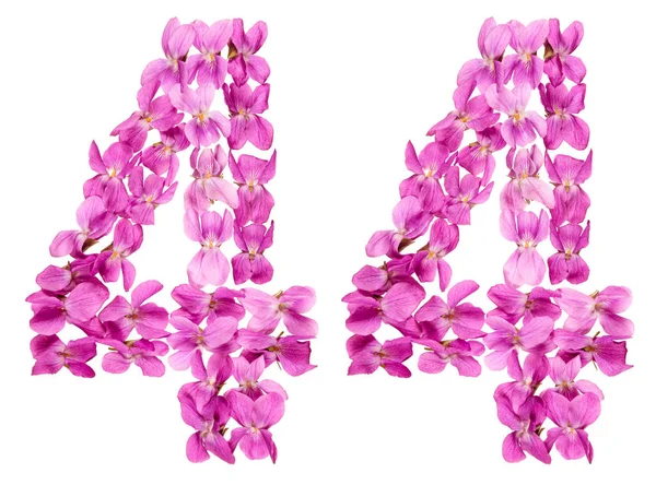Arabische Ziffer Vierundvierzig Aus Viola Blüten Isoliert Auf Weißem Hintergrund — Stockfoto