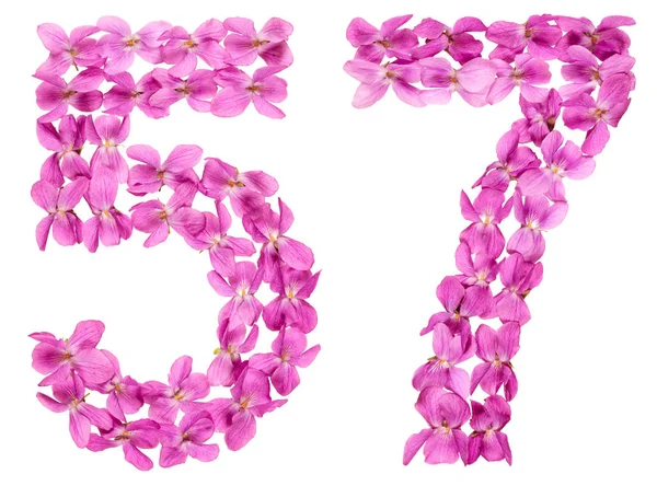 Cyfry Arabskie Pięćdziesiąt Siedem Kwiatów Viola Izolowana Białym Tle — Zdjęcie stockowe