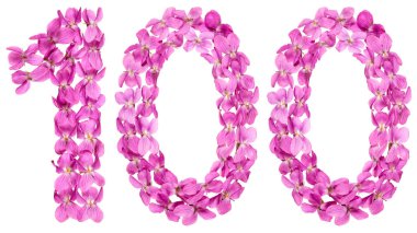 Arapça Beyaz arka plan üzerinde izole rakamı 100, 100, Viyola, çiçeklerin üzerinden