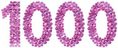 Beyaz arka plan üzerinde Arapça rakamı 1000, bin, leylak, çiçekleri gelen izole