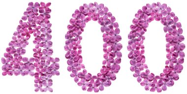 Beyaz arka plan üzerinde Arapça rakamı 400, leylak, çiçeklerin üzerinden dört yüz izole