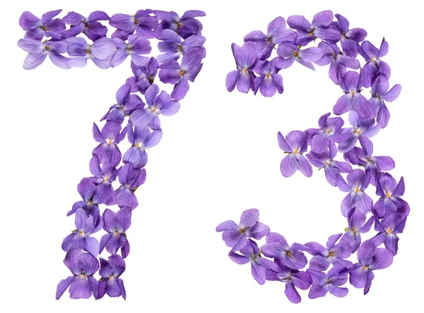 Arabiska Siffror Sjuttio Tre Från Blommorna Viola Isolerad Vit Bakgrund — Stockfoto
