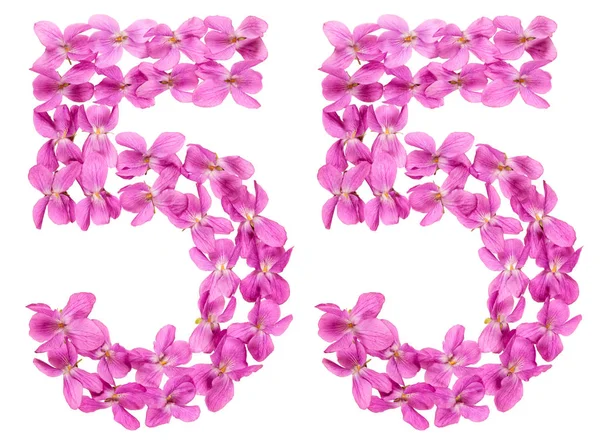 Arabská Číslice Padesát Pět Květů Viola Izolované Bílém Pozadí — Stock fotografie