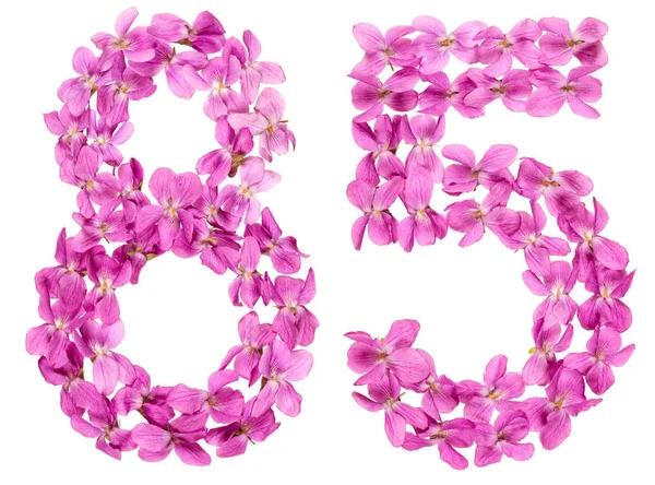 Arabische Ziffer Fünfundachtzig Aus Viola Blüten Isoliert Auf Weißem Hintergrund — Stockfoto