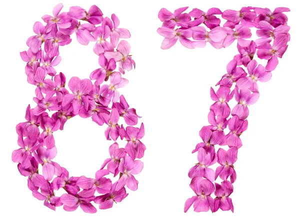 Número Arábico Oitenta Sete Flores Viola Isolado Sobre Fundo Branco — Fotografia de Stock