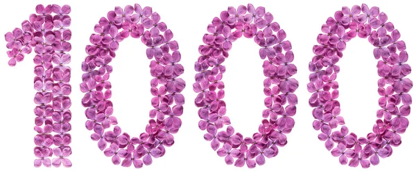 Beyaz arka plan üzerinde Arapça rakamı 1000, bin, leylak, çiçekleri gelen izole