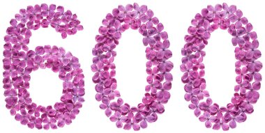 Beyaz arka plan üzerinde Arapça rakamı 600, leylak, çiçekleri gelen altı yüz izole