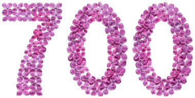 Beyaz arka plan üzerinde Arapça rakamı 700, leylak, çiçeklerin üzerinden yedi yüz izole