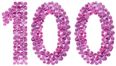 Beyaz arka plan üzerinde Arapça rakamı 100, yüz, leylak, çiçekleri gelen izole