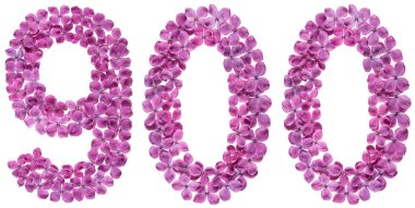 Arapça rakamı 900, leylak, çiçeklerin üzerinden dokuz yüz izole