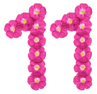 Arapça sayı 11, on üzerinden beyaz arka plan üzerinde izole keten, pembe çiçekler