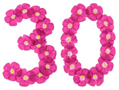 Arapça rakamı 30, otuz, üzerinde beyaz adam izole keten, pembe çiçekler üzerinden