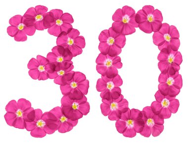 Arabic numeral 30, thirty, from pink flowers of flax, isolated on white backgroun clipart
