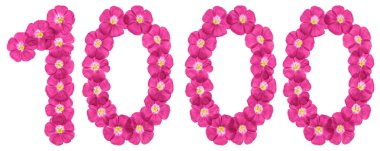 Arapça Beyaz arka plan üzerinde izole rakamı 1000, 1000, keten, pembe çiçekler üzerinden