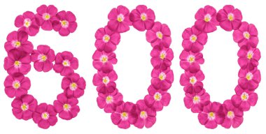 Arapça Beyaz arka plan üzerinde izole rakamı 600, keten, pembe çiçekler üzerinden altı yüz