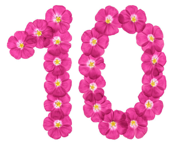 Arabic numeral 10, ten, from pink flowers of flax, isolated on white background