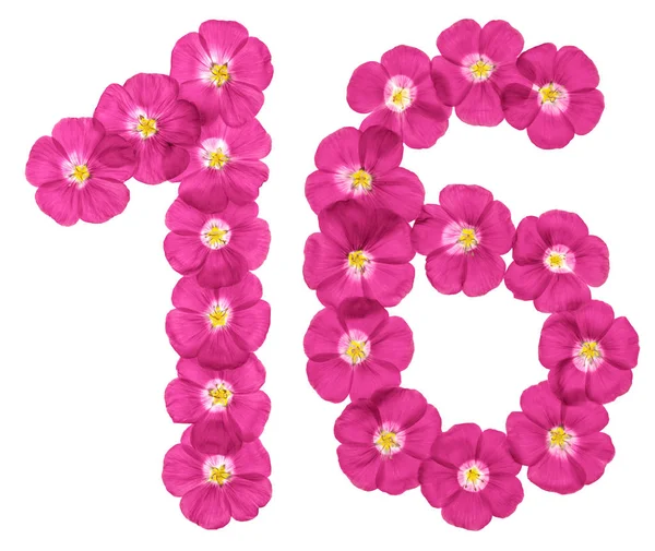 阿拉伯数字 从亚麻的粉红色花 查出在白色背景 — 图库照片