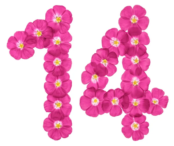 아랍어 배경에 고립의 분홍색 꽃에서 — 스톡 사진