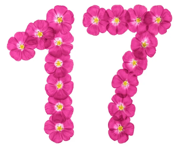 Arabská Číslice Sedmnáct Růžové Květy Lnu Izolované Bílém Pozadí — Stock fotografie
