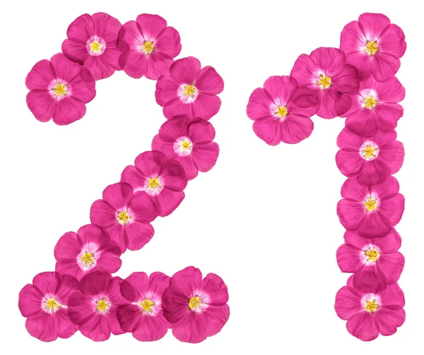 阿拉伯数字 从亚麻粉红色的花 孤立在白色的背景上 — 图库照片