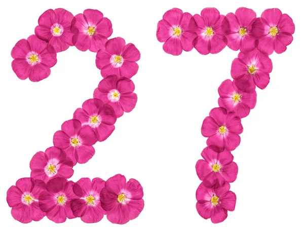 Cifra Arabă Douăzeci Șapte Din Flori Roz Izolate Fundal Alb — Fotografie, imagine de stoc