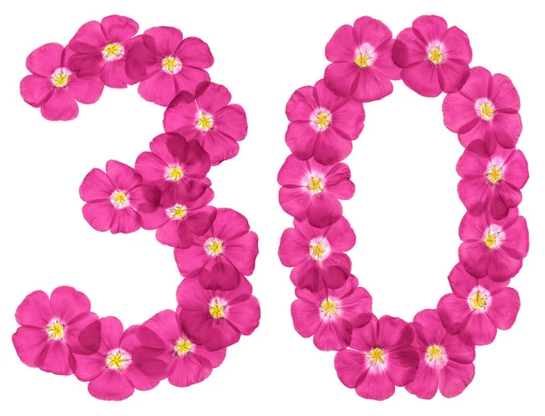 阿拉伯数字 从粉红色的亚麻花 隔离在白色的背板上 — 图库照片