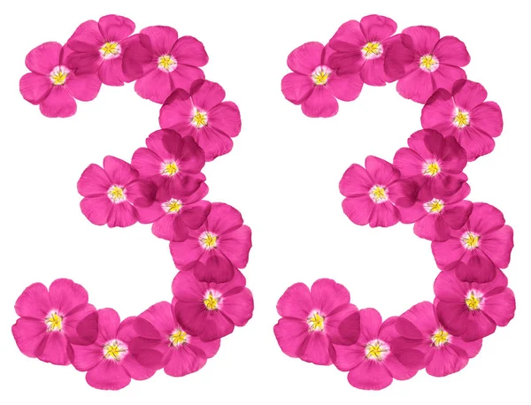 Arabic Numeral Thirty Three Pink Flowers Flax Isolated White Background — Stock Photo, Image