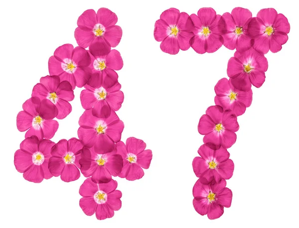 Cyfry Arabskie Czterdzieści Siedem Różowe Kwiaty Lnu Izolowana Białym Tle — Zdjęcie stockowe