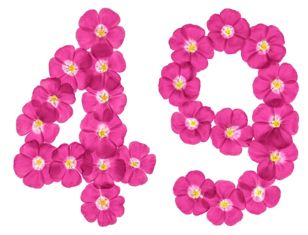 Arabic Numeral Forty Nine Pink Flowers Flax Isolated White Background — Stock Photo, Image