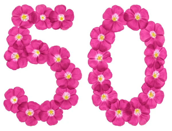 Arabská Číslice Padesát Růžové Květy Lnu Izolované Bílém Pozadí — Stock fotografie