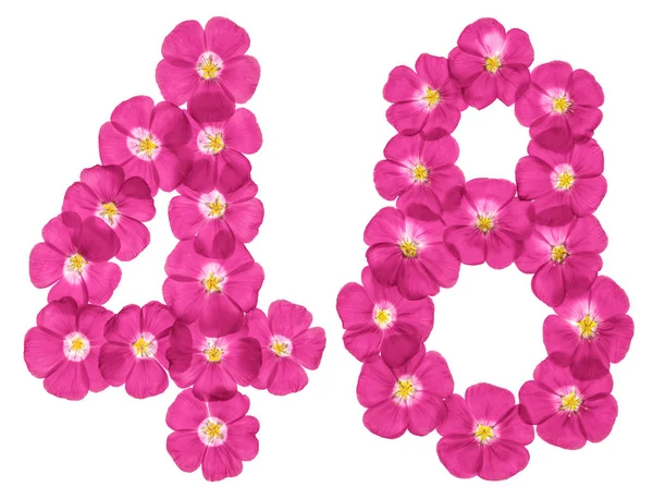 Arabische Ziffer Achtundvierzig Aus Rosa Flachsblüten Isoliert Auf Weißem Hintergrund — Stockfoto