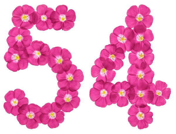 Arabische Ziffer Aus Rosa Flachsblüten Isoliert Auf Weißem Hintergrund — Stockfoto