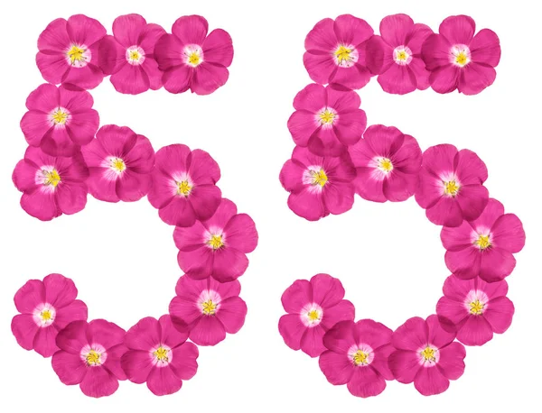 Arabische Ziffer Fünfundfünfzig Aus Rosa Flachsblüten Isoliert Auf Weißem Hintergrund — Stockfoto