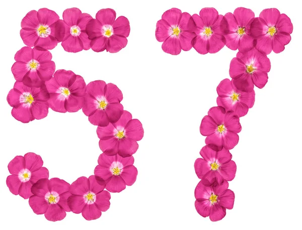 Números Arábigos Cincuenta Siete Flores Rosadas Lino Aisladas Sobre Fondo — Foto de Stock