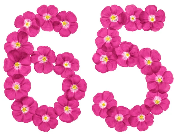 Arabische Ziffer Fünfundsechzig Aus Rosa Flachsblüten Isoliert Auf Weißem Hintergrund — Stockfoto